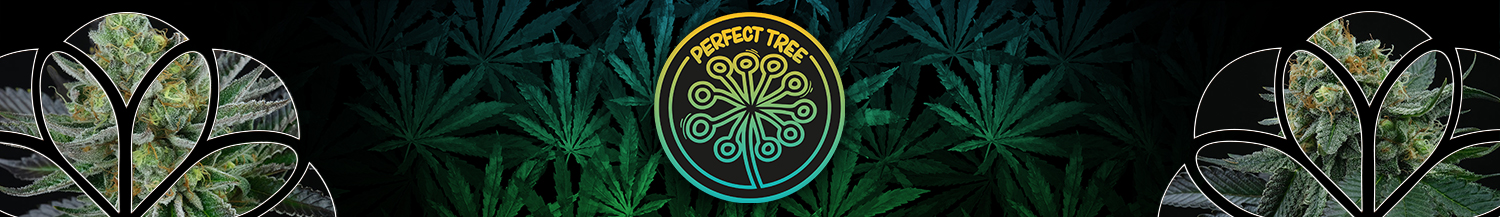 attitude-perfect-tree-category-banner3